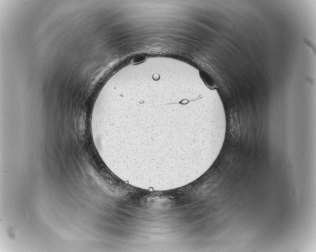 X0000100190208200806271626