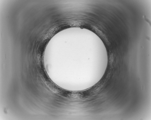 X0000100190209200806271626