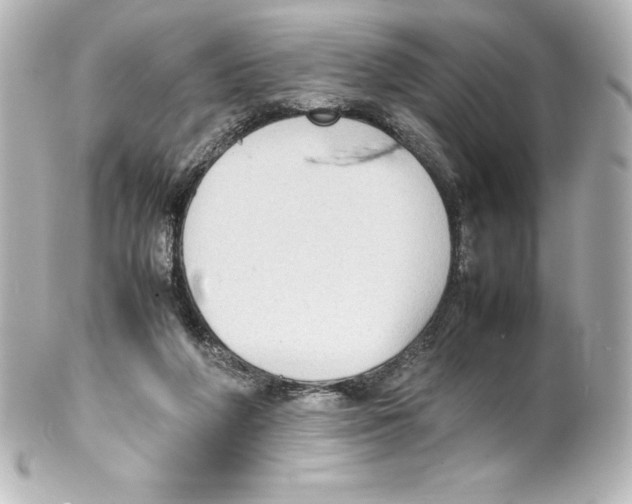 X0000100190210200806271626