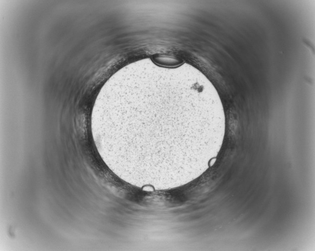 X0000100190211200806271626