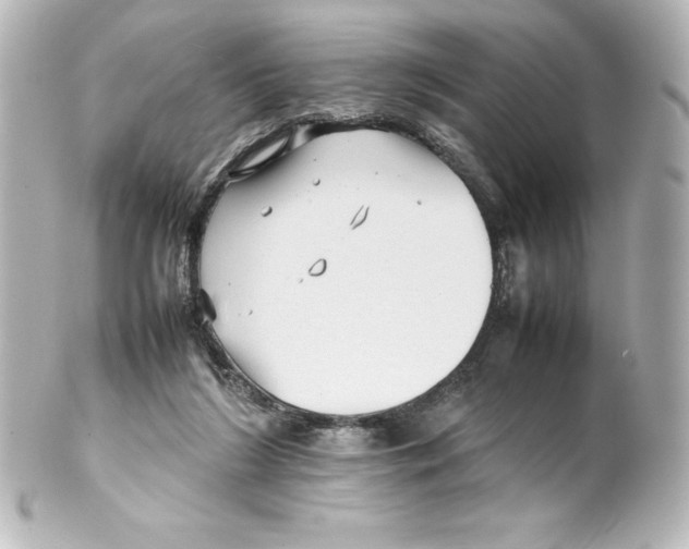 X0000100190212200806271626