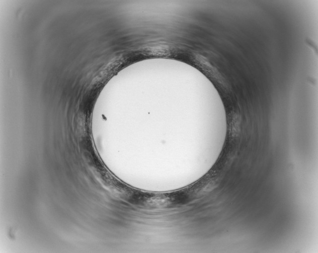 X0000100190213200806271626
