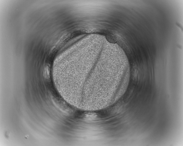 X0000100190214200806271626