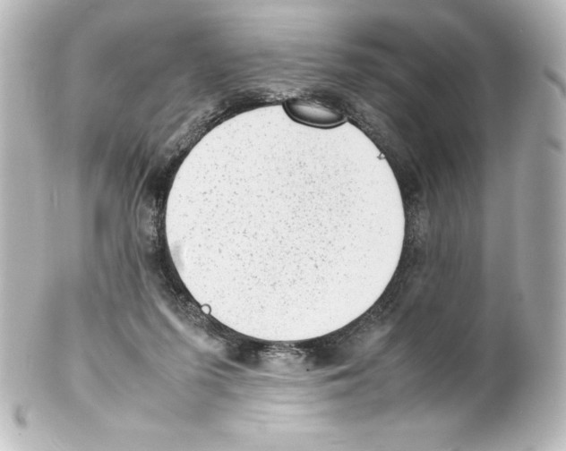 X0000100190215200806271626