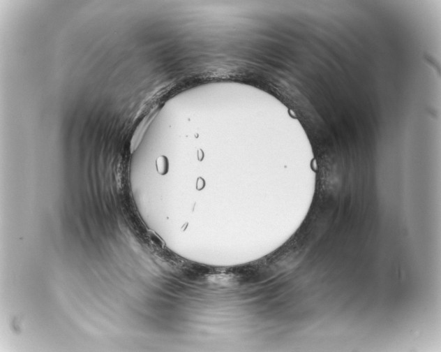 X0000100190216200806271626