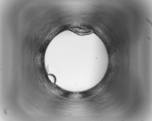 X0000100190217200806271626
