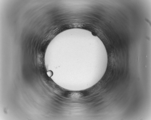 X0000100190218200806271626
