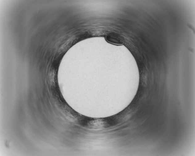 X0000100190219200806271626