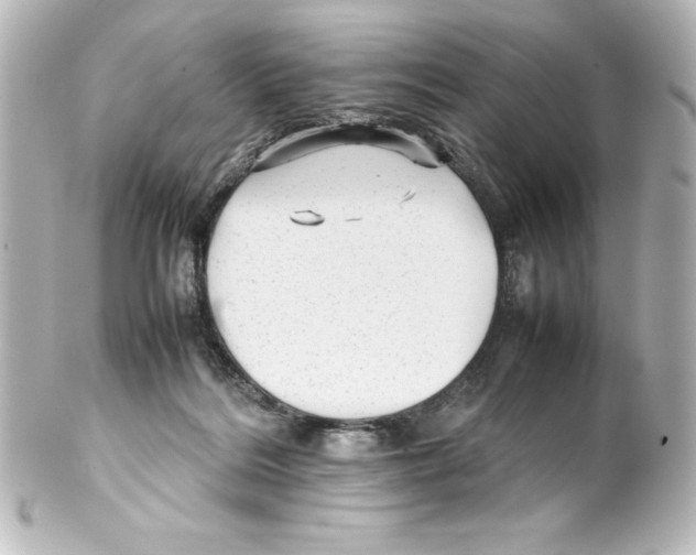 X0000100190220200806271626