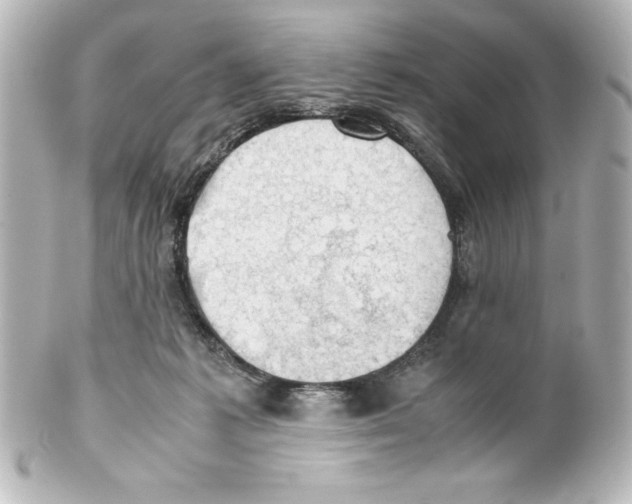 X0000100190221200806271626