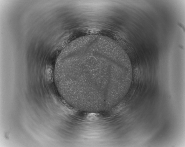 X0000100190222200806271626