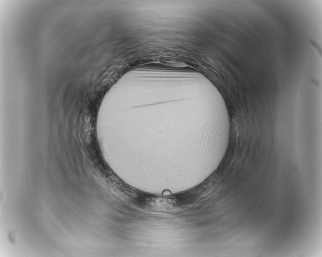 X0000100190223200806271626
