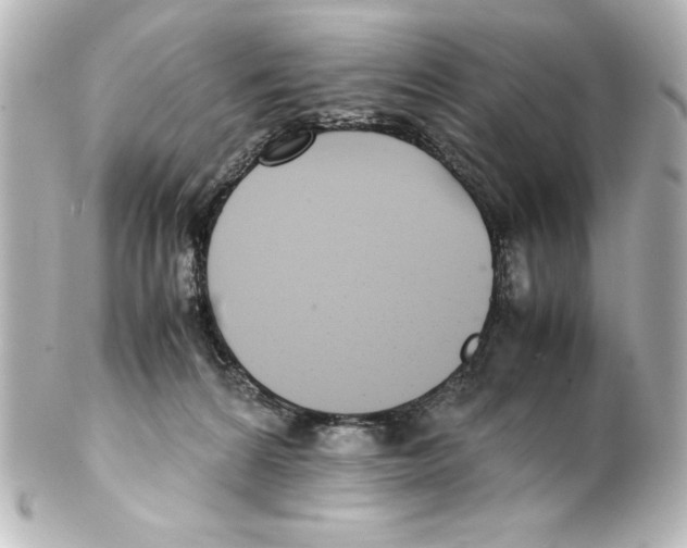 X0000100190224200806271626