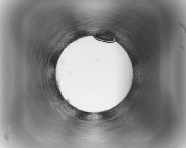 X0000100190225200806271626