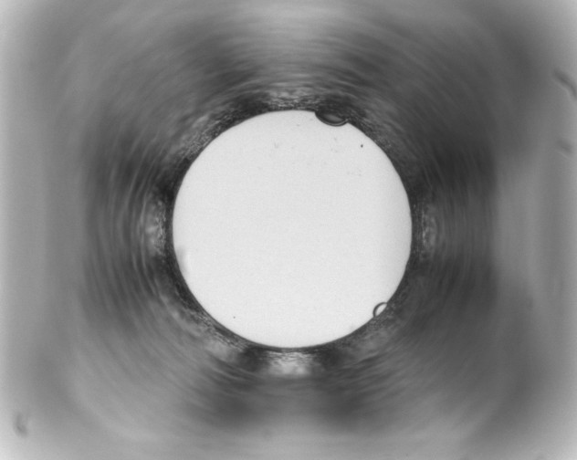 X0000100190226200806271626