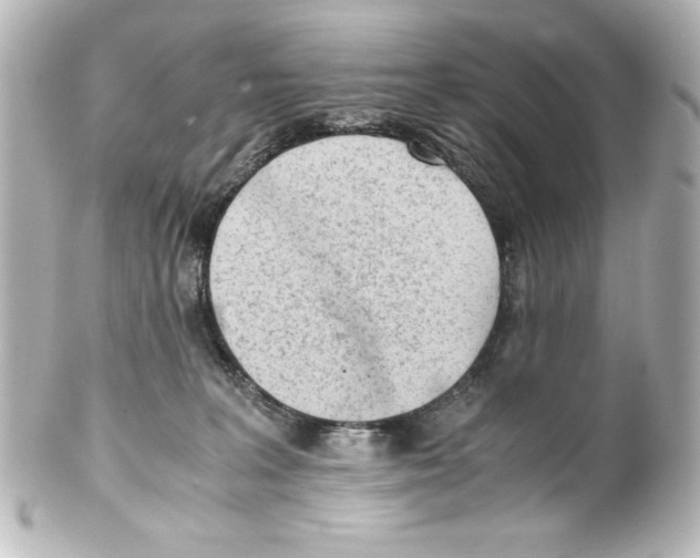 X0000100190227200806271626