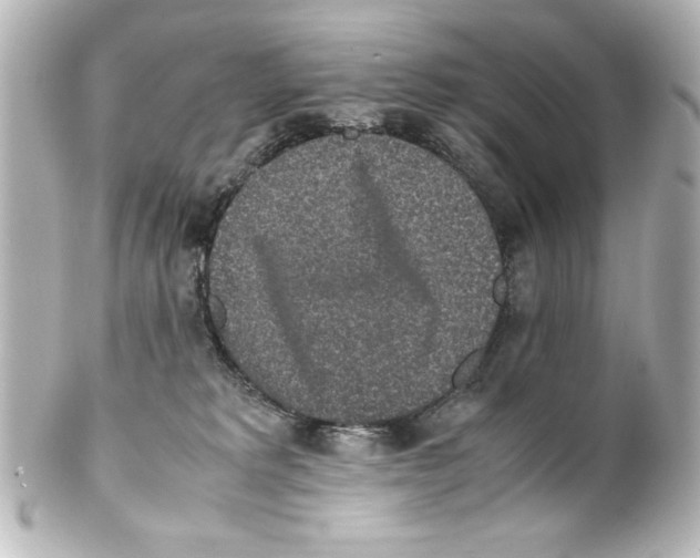 X0000100190229200806271626