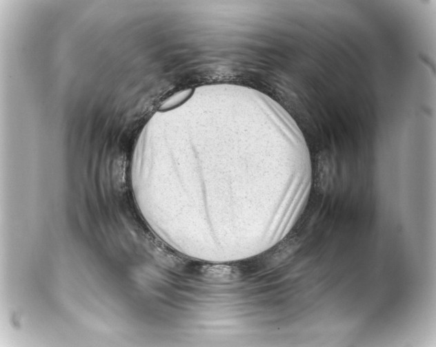 X0000100190230200806271626