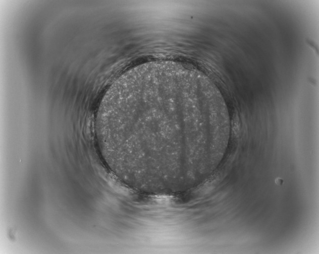 X0000100190233200806271626