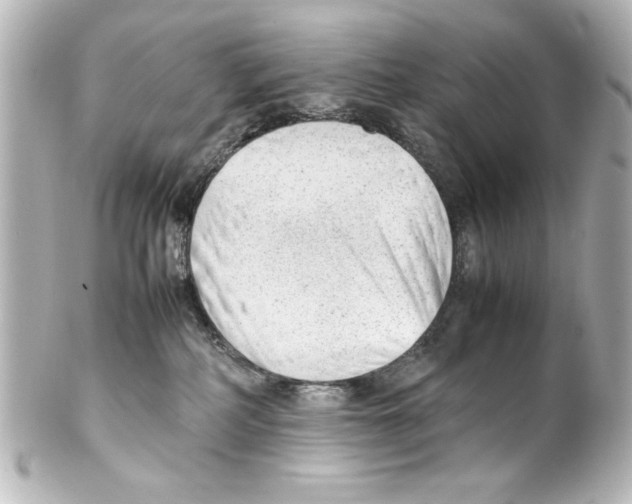 X0000100190234200806271626