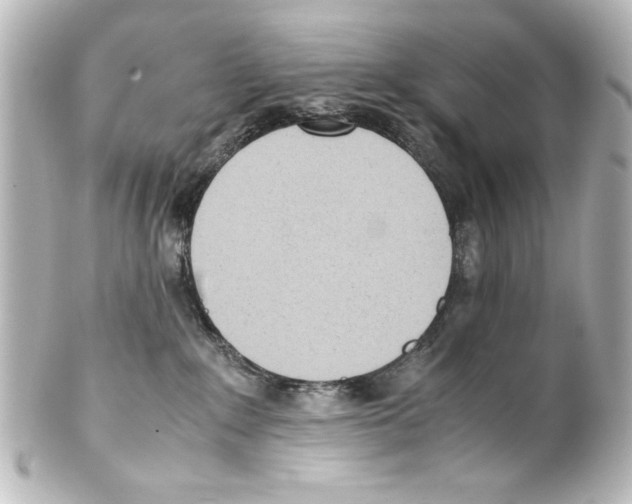 X0000100190235200806271626