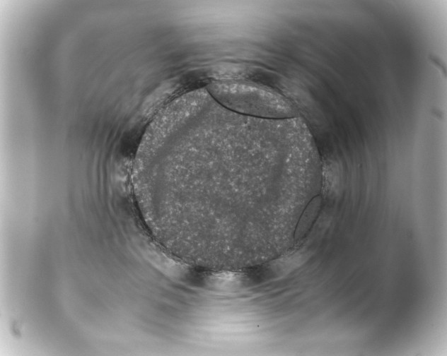 X0000100190237200806271626