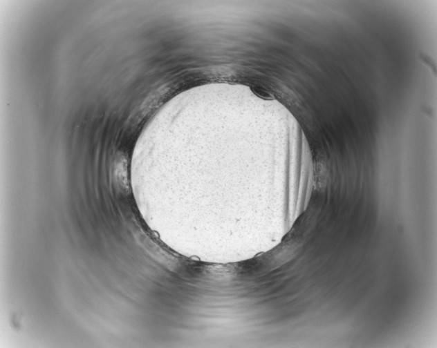 X0000100190238200806271626