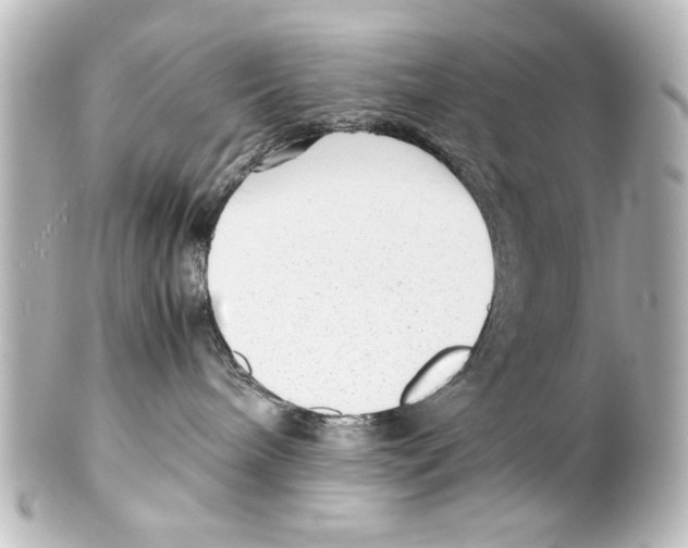 X0000100190240200806271626