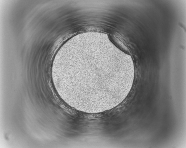 X0000100190241200806271625