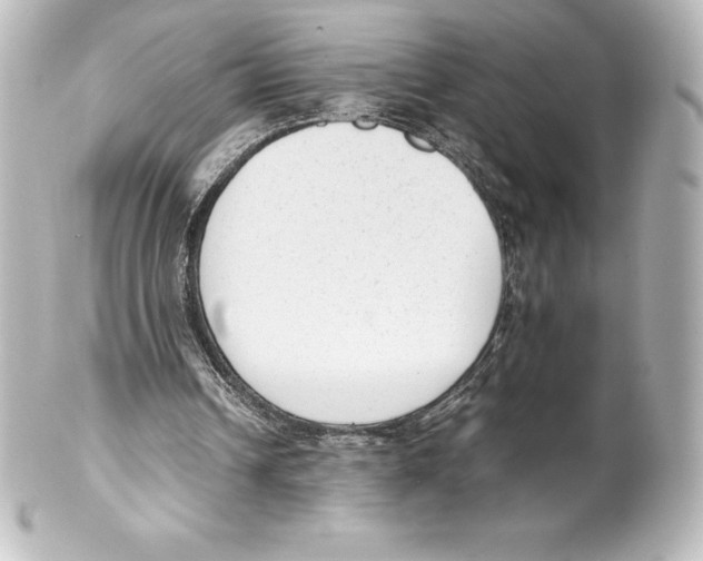 X0000100190242200806271625