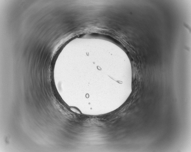 X0000100190244200806271625