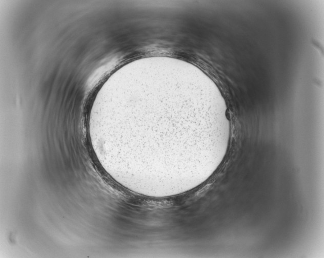 X0000100190245200806271625