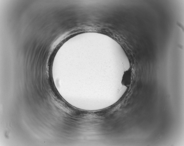 X0000100190246200806271625