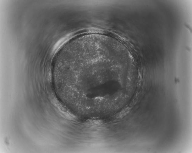 X0000100190247200806271625