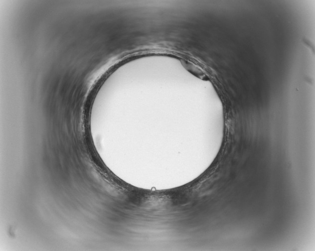 X0000100190248200806271625