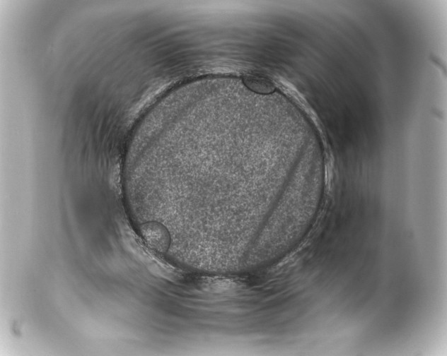 X0000100190249200806271625