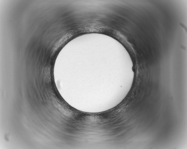 X0000100190250200806271625