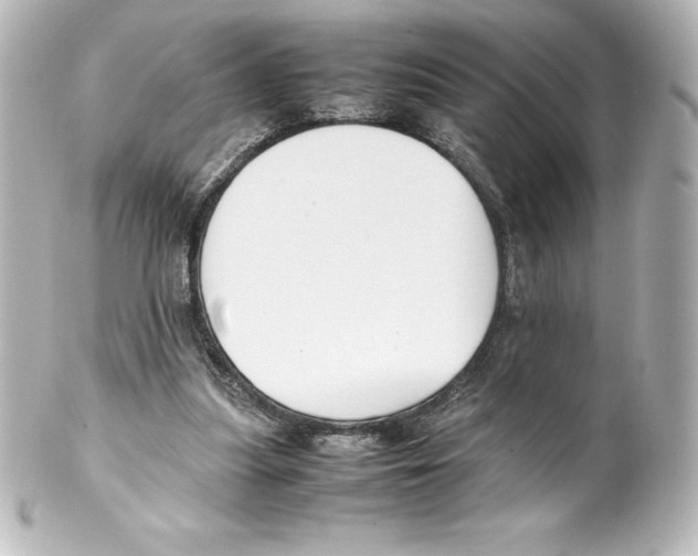 X0000100190251200806271625