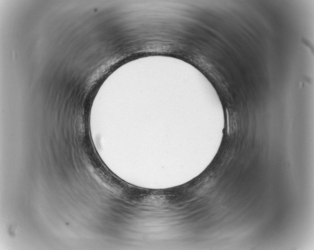 X0000100190252200806271625