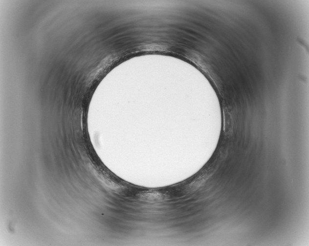 X0000100190253200806271625