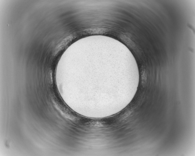 X0000100190254200806271625