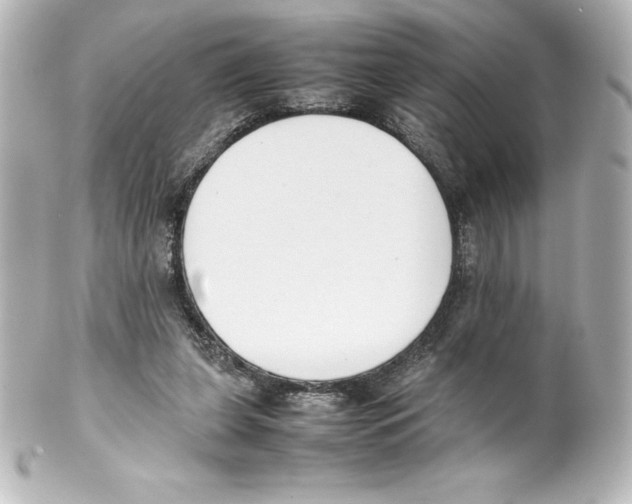 X0000100190255200806271625
