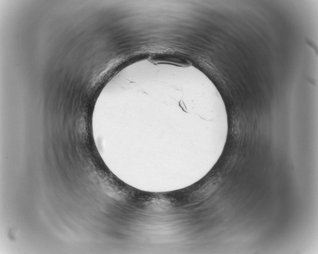 X0000100190256200806271625