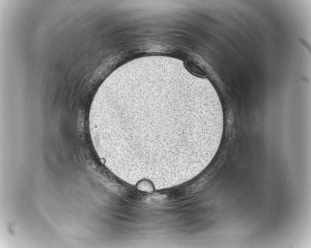 X0000100190257200806271625