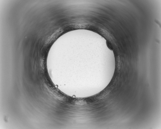 X0000100190258200806271625
