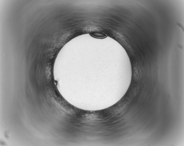X0000100190259200806271625