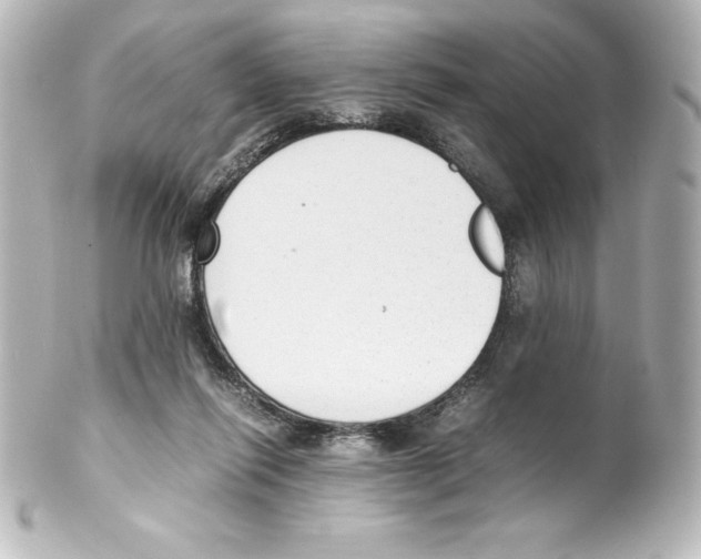 X0000100190262200806271625