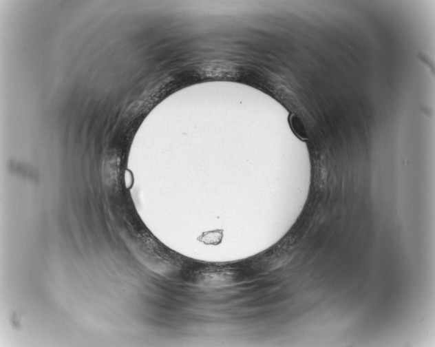 X0000100190263200806271625
