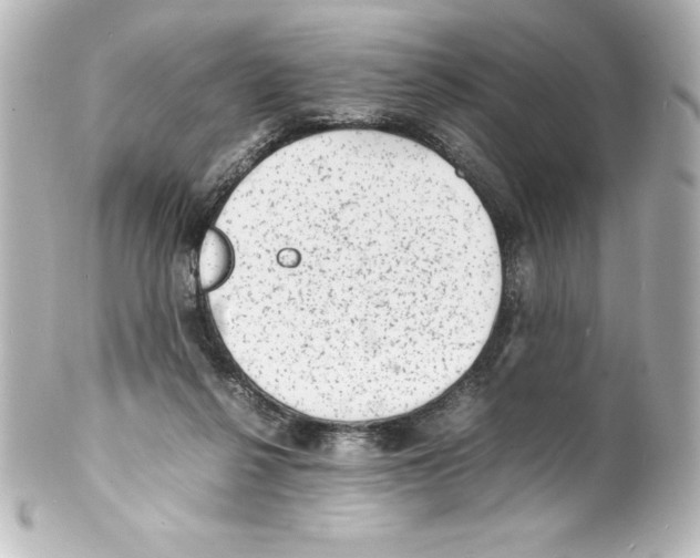 X0000100190264200806271625