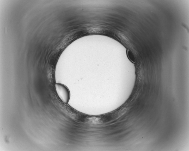 X0000100190265200806271625